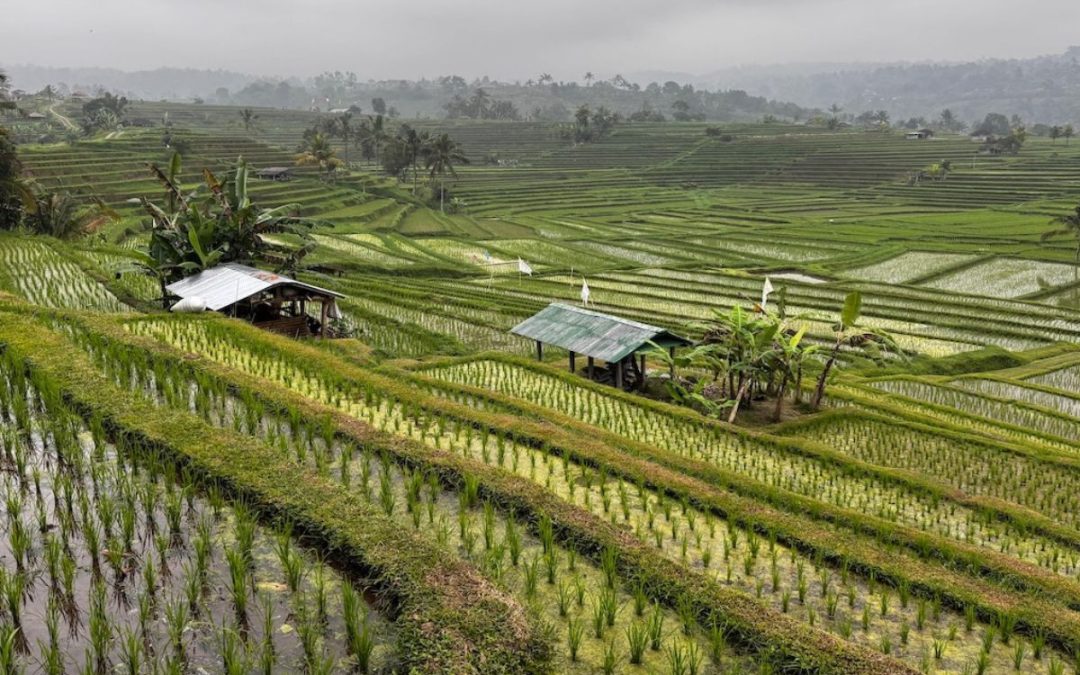 Errores comunes al organizar un retiro en Bali