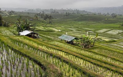 Errores comunes al organizar un retiro en Bali